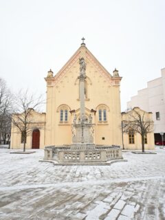Snow is back in Bratislava ❄️

Who’s morning just got nicer?

#bratislava #slovakia #slovensko #snow
