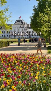 🐰 APRIL events 🐰
Are you visiting BRATISLAVA this month? Make sure to save this list of events & activities 🤍

🐰 Medieval Easter Markets
📆 3.-6.4.
📍 Bratislava Castle, Zamocka, Bratislava

🦙 Open door day at AlpacaFarm
📆 3.4.
📍 AlpacaFarm, Brezova, Most pri Bratislave

💐 Trh-Piac-Markt
📆 4.4. & 11.4. & 18.4. & 25.4.
📍 Old Market Hall, SNP Square, Bratislava

🐰 Easter Family Event with alpacas
📆 6.4.
📍 Eurovea, Pribinova, Bratislava

🪴 Plant Festival
📆 11.-12.4.
📍 Incheba, Viedenska cesta, Bratislava

🏃‍♀️ Bratislava Marathon
📆 11.-12.4.
📍 Eurovea, Pribinova, Bratislava

🏰 Market on Devin castle
📆 12.4.
📍 Devin Castle, Muranska, Bratislava

🧶 SAShE market
📆 15.-17.4.
📍 Old Market Hall, SNP Square, Bratislava

🍻 Craft Beer Festival
📆 17.-18.4.
📍 Trnavske myto Market hall, Bratislava

⚔️ Bratislava City Days
📆 25.-26.4.
📍 Various Locations, Bratislava

🎙️ Ricchi e Poveri Concert
📆 29.4.
📍 NTC Arena, Prikopova, Bratislava

Save this reel & stay tuned for more event tips 🌼

#bratislava #slovakia #april #apriloveeventy