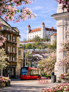 How would you like a greener @bratislava_ ? 🌳🌸🌱

With a little help of AI we don’t have to imagine anymore how the city would look like with more trees, plants and flowers 💚 Wouldn’t it be amazing if it really looked like this?

P.S.: The Main Square actually used to have a park 🥹 I’d definitely take it back 💛

#bratislava #slovakia #slovensko #ai