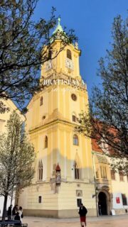 Just a spring Bratislava being magical 🌸☀️

#bratislava #slovakia