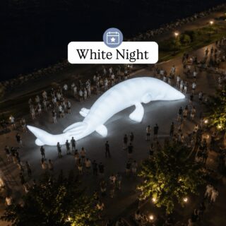 White Night is coming back to Bratislava from 2nd to 4th of October 🤍

Enjoy a night full of immersive contemporary art all over the city. Here are some of our top picks with locations:

📍LUMI SWAY / Kŕdeľ / Drone show
Eurovea
Friday 20:00 & 21:00

📍Oľga Paštéková / The lights are not what they seem
Edison FilmHub
Friday-Sunday 19:00 - 24:00

📍Samuel Hagara / Sféra spojenia
Hotel Kyjev
Friday-Sunday 19:00 - 24:00

📍Rebel Overlay / Strata
Eurovea
Friday-Sunday 19:00 - 24:00

📍Lousy Auber & CTRL Space
Twin City B
Friday-Sunday 19:00 - 24:00

📍Dusts Institute
Eurovea
Friday-Sunday 19:00 - 24:00

Which one do you want to see the most?

All the information can be found on www.bielanoc.sk
Photos: @bielanoc 

#bratislava #slovakia #bielanoc #whitenight #slovensko